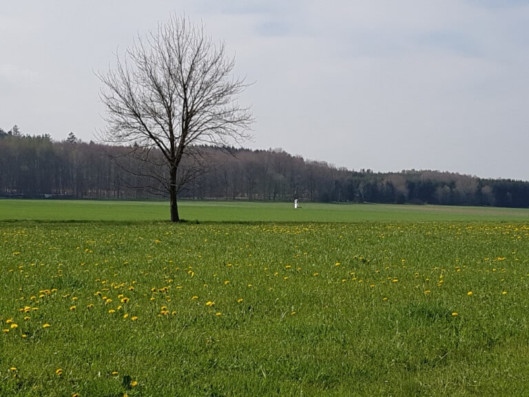 ©R. Ernst